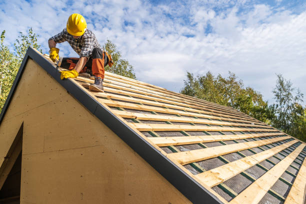 Best Roof Gutter Cleaning  in Panama, OK