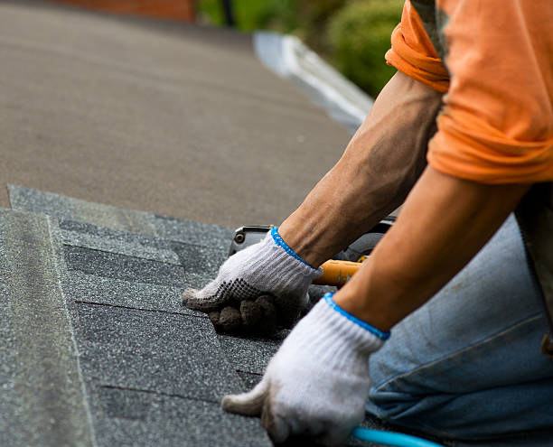 Best Local Roofing Companies  in Panama, OK